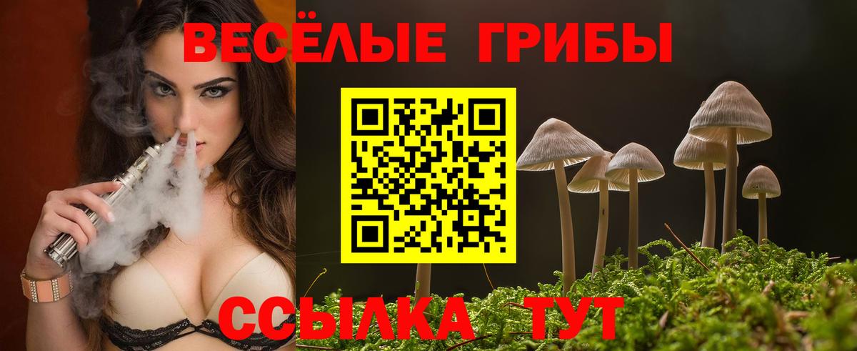 Галлюциногенные грибы GOLDEN TEACHER Гурьевск